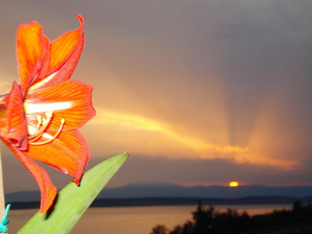 Apartments Crikvenica Bilik gambar